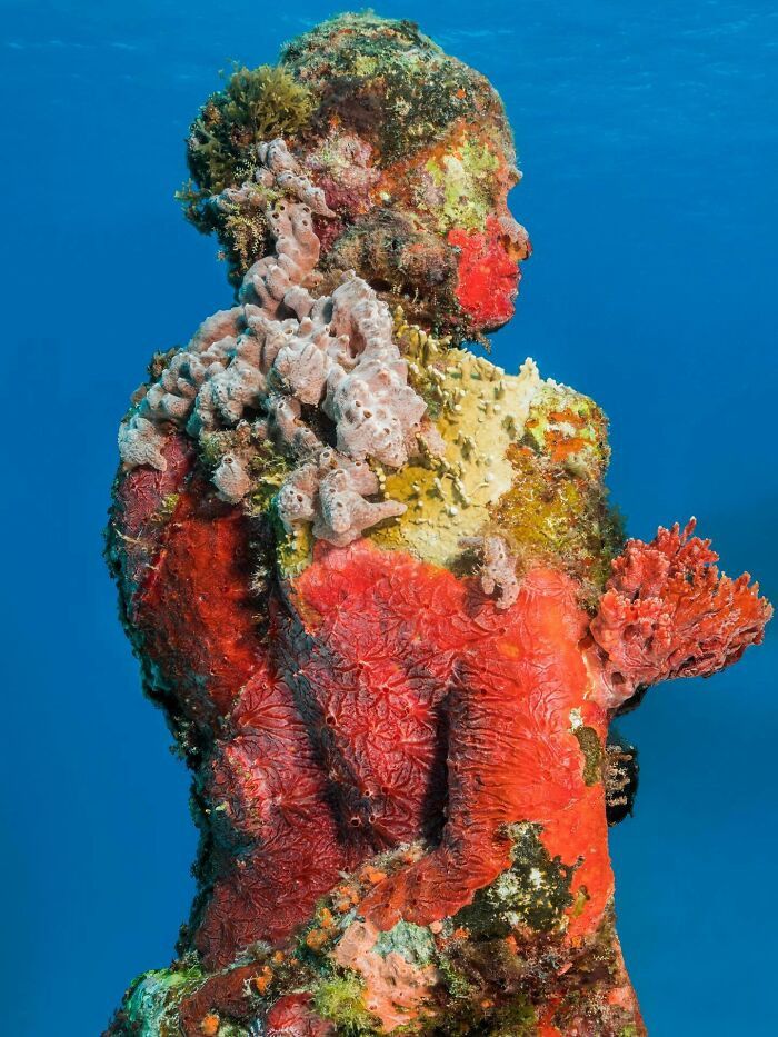 Silent Evolution, Musa, Mexico