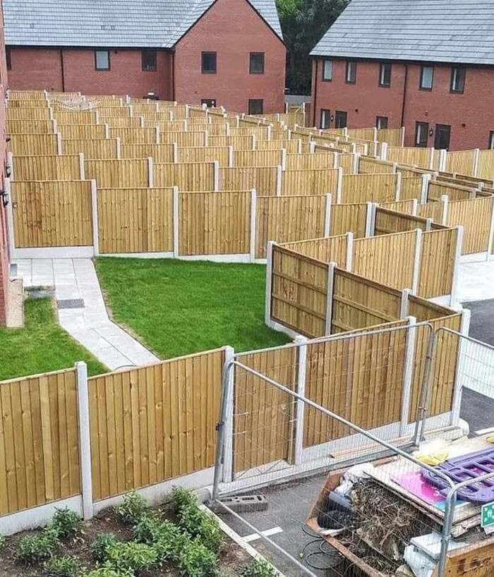 46. Guilty Of Multiple Offences!