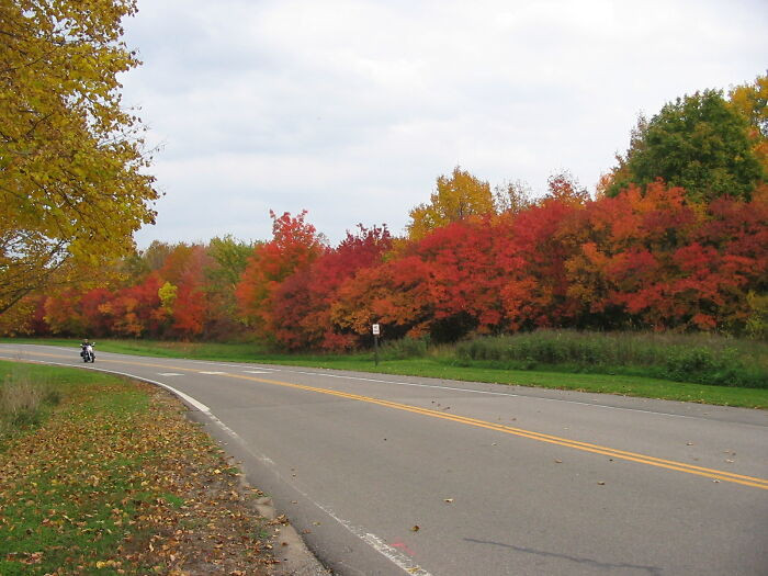 Perfect Autumn Ride