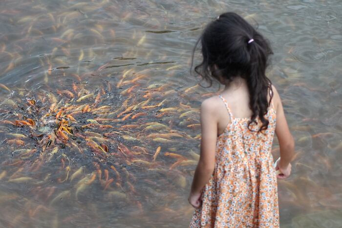 Pustaka Negeri, Sarawak, Malaysia