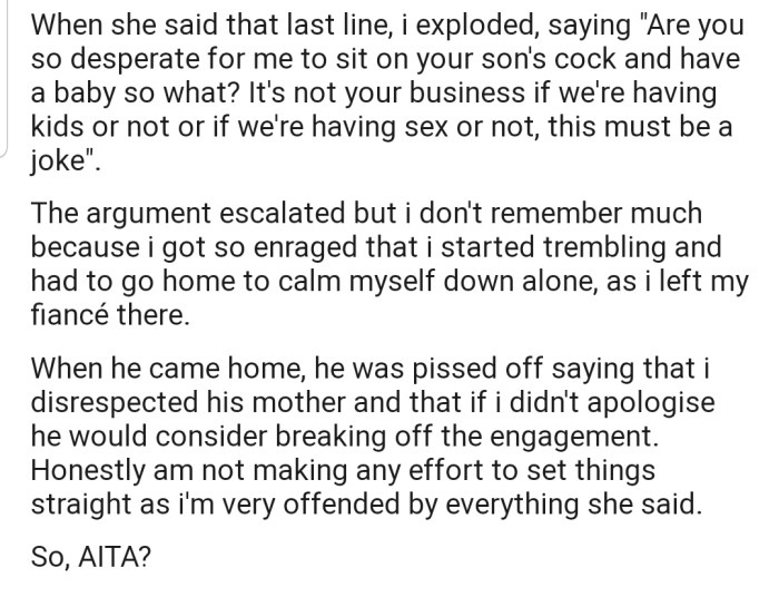 OP's MIL's persistence on the topic of having a child early really upset her, causing a heated argument. Now her fiancé is accusing her of disrespecting his mother and even threatening to end their relationship