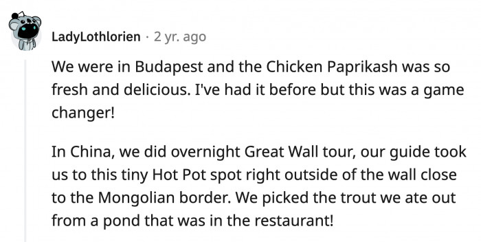 18. Chicken Paprikash from Budapest and amazingly fresh hot pot just by the Mongolian border in China where you pick the trout yourself and eat by the pond