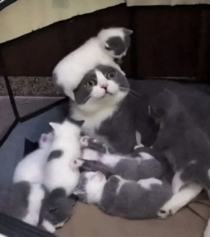 3. Enough is enough...