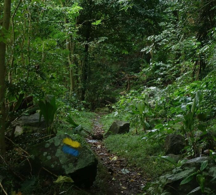 Waitukubuli National Trail, Dominica - 115 Miles