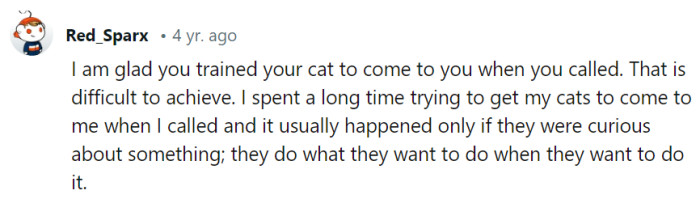 Training cats can indeed be a 