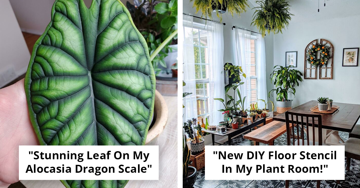 50 Beautifully Cultivated Green Spaces You Can Create At Home