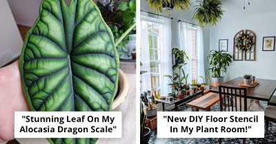 50 Beautifully Cultivated Green Spaces You Can Create At Home