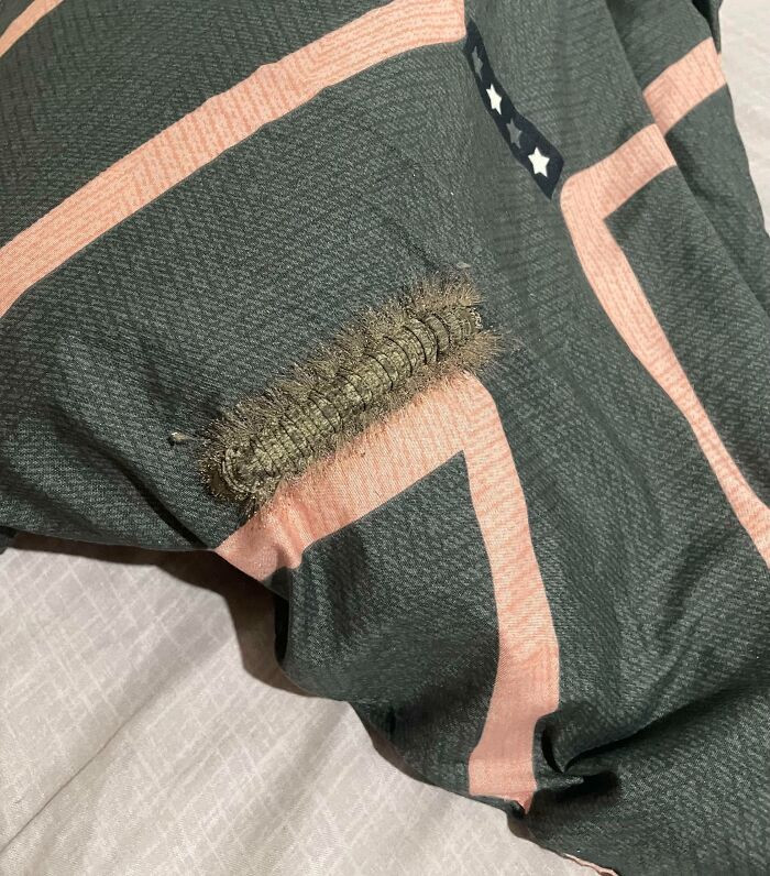 3. He was about to sleep when he discovered a person on his pillow.