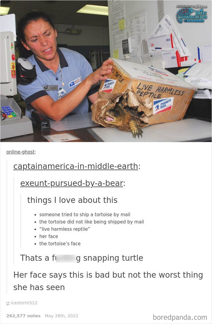 36. Her face and the tortoise's face say it all