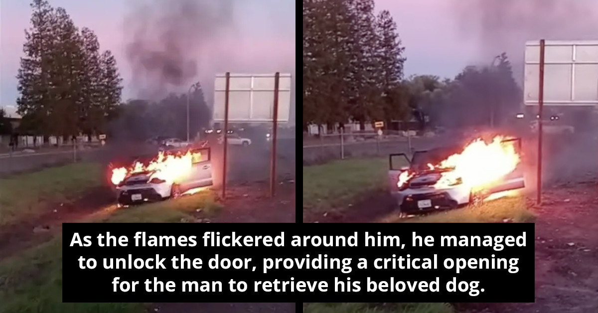 Brave Amazon Delivery Driver Rescues Dog Trapped In A Burning Car