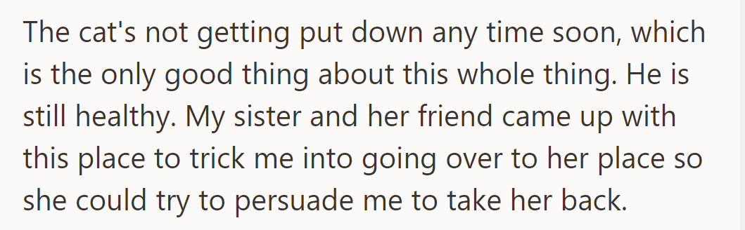 The healthy cat was a trick by his sister and Anna to get him to Anna's place so she could persuade him to take her back.