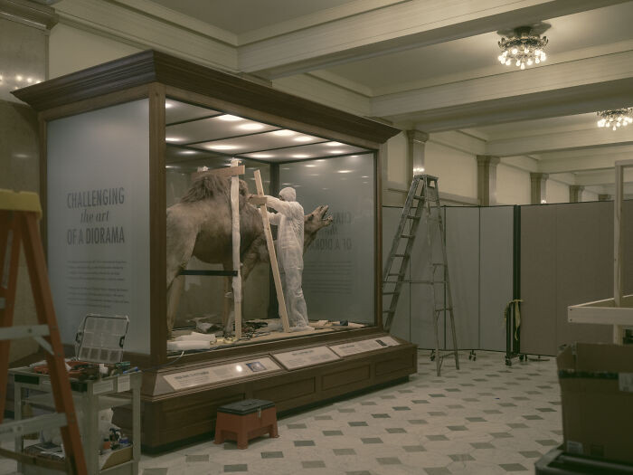 Diorama, Pittsburgh, Pennsylvania