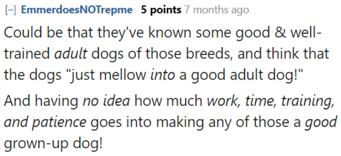 Responsible dog owners learn what it takes to have a canine and diligently invest time in their pets' well-being.
