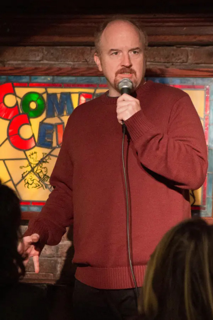 14. Louie C.K.'s show Louie ended when his own sexual misconduct allegations resurfaced