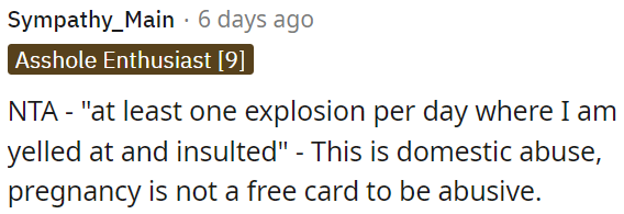 Pregnancy doesn't justify abuse; experiencing daily explosions of yelling and insults constitutes domestic abuse.