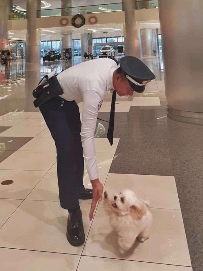 16. Security check: approved by the tiniest officer