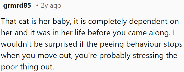 The cat is like her child, relying entirely on her and being part of her life before OP arrived.