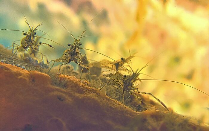 20. And they said superpowers aren’t real.