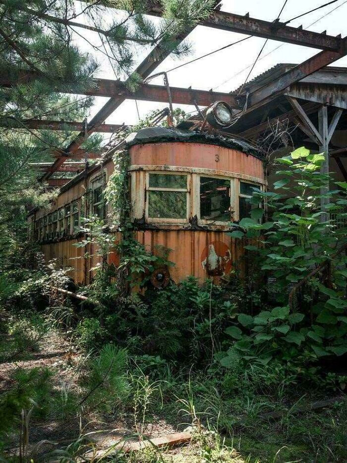 Abandoned Overgrown Train And Station In Yamagata,japan