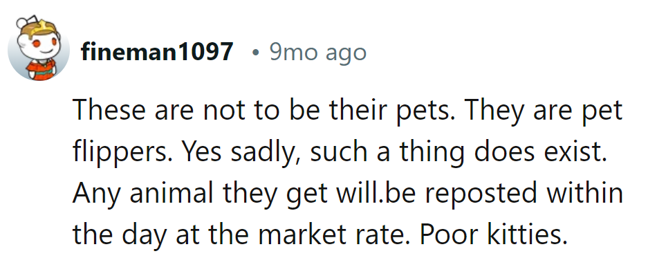 From furball friends to dollar signs. Kitty flipping: where love meets lucre.