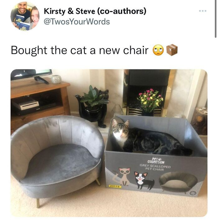 13. And the cat chose the carton...