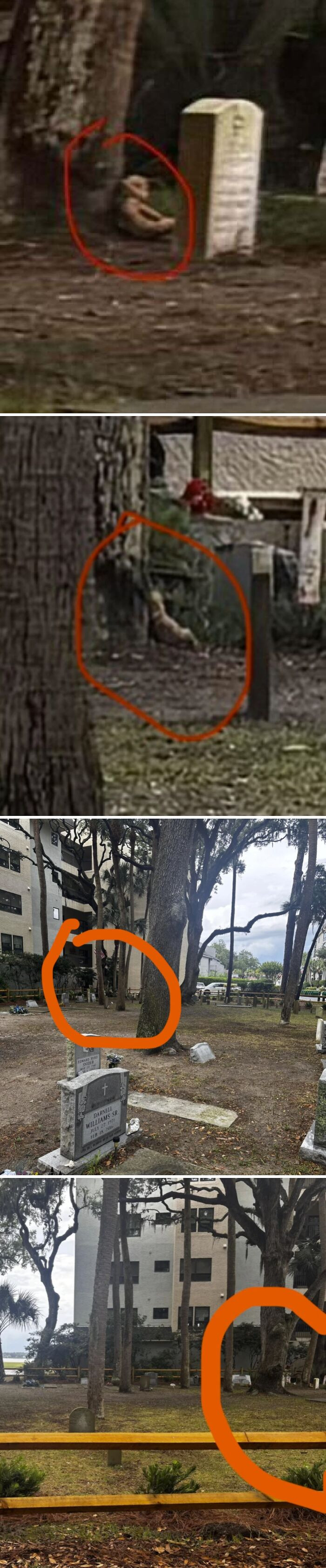 "Possible Paranormal Findings?"
