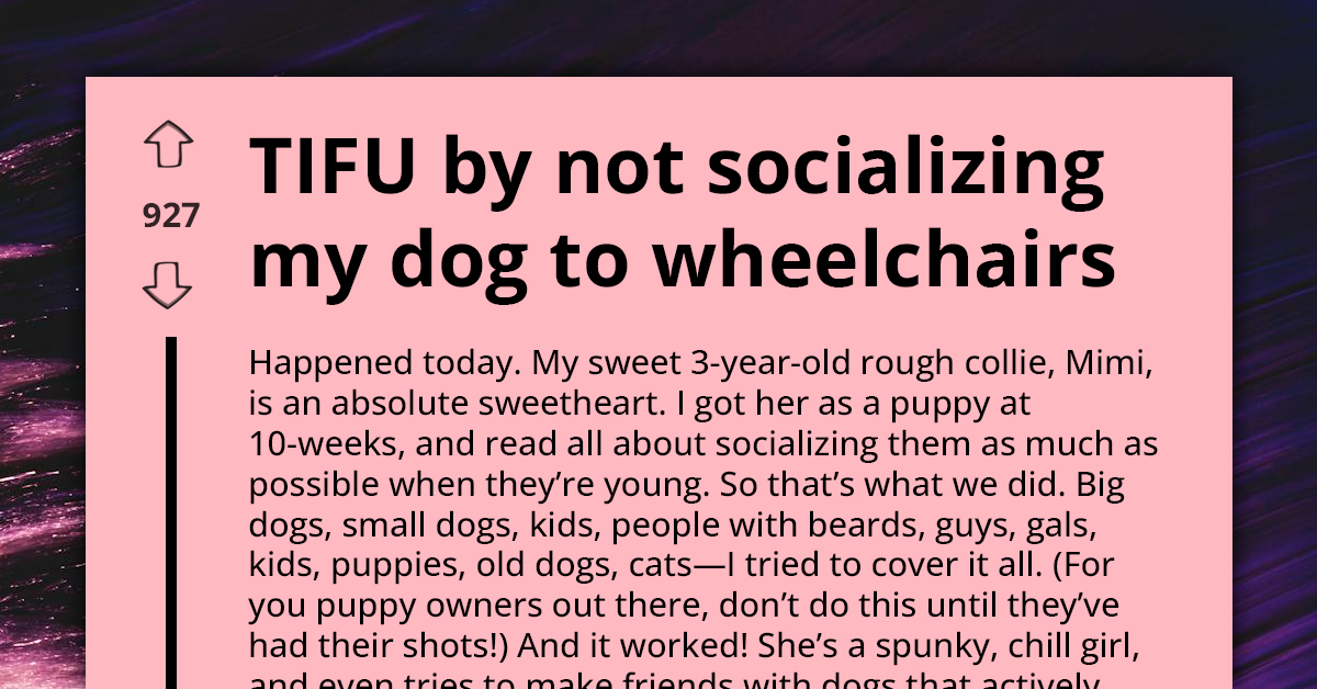 "Fixing Ableist Dog" - Owner Feels Guilty After His Well-Mannered Canine Barks At Man In Wheelchair