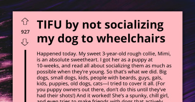 "Fixing Ableist Dog" - Owner Feels Guilty After His Well-Mannered Canine Barks At Man In Wheelchair