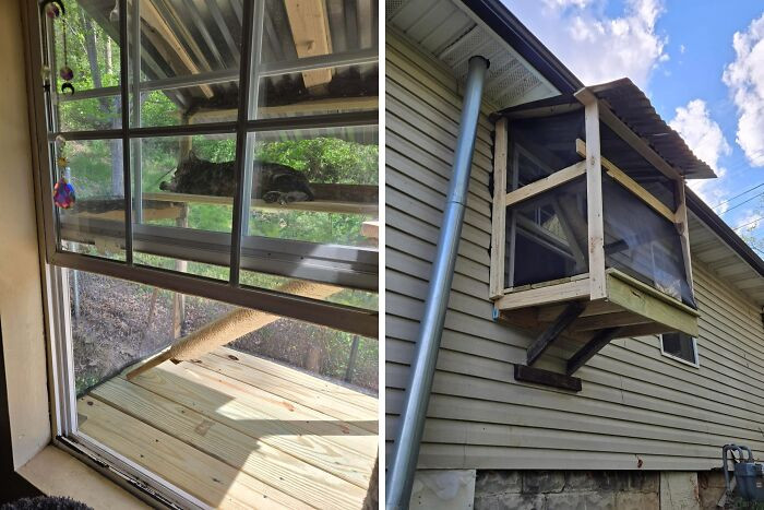 "I Made This Window Box Without Measuring Anything. My Cat Loves It"