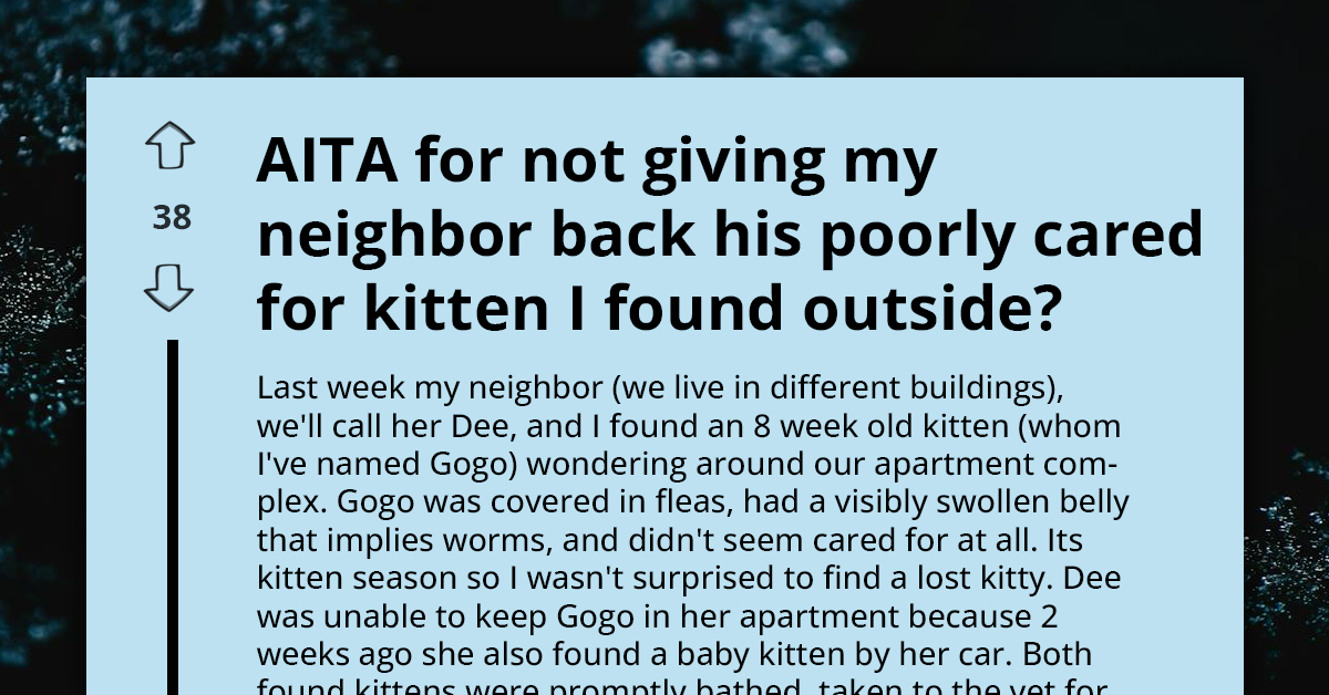 Redditor Won't Return Lost Kitten to Its Owner Because They Believe It Would Suffer, Ask If Their POV Is Justified