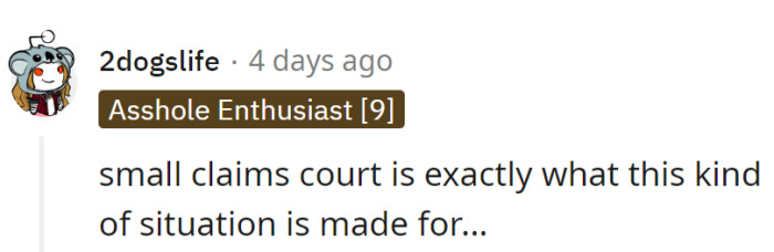 Small claims court: where DIY disasters get a front-row seat in the legal circus. Time for the roommates to juggle their way out of this one!