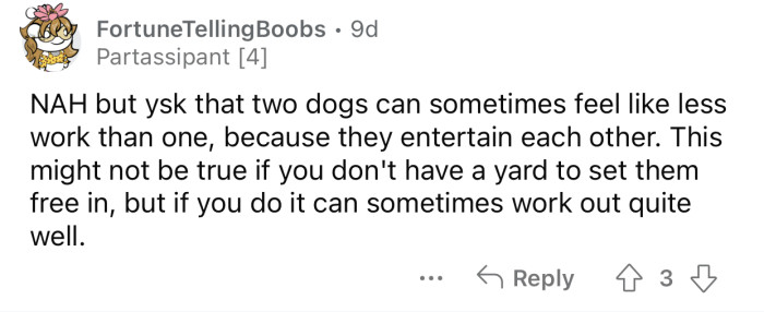 Two dogs can feel like less work than just one.