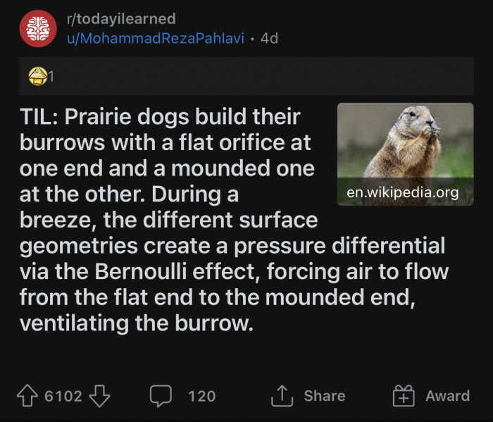 Here's the original Reddit post by u/MohammadRezaPahlavi: