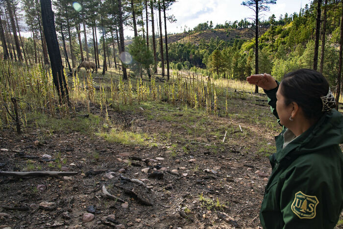 Most (not all) jobs in the environmental sector