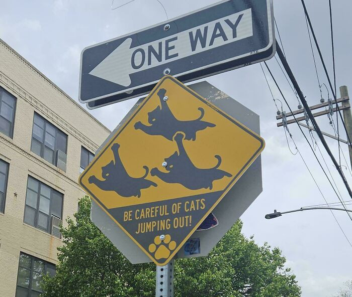 "You Have Cat To Be Kitten Me Right Meow!"