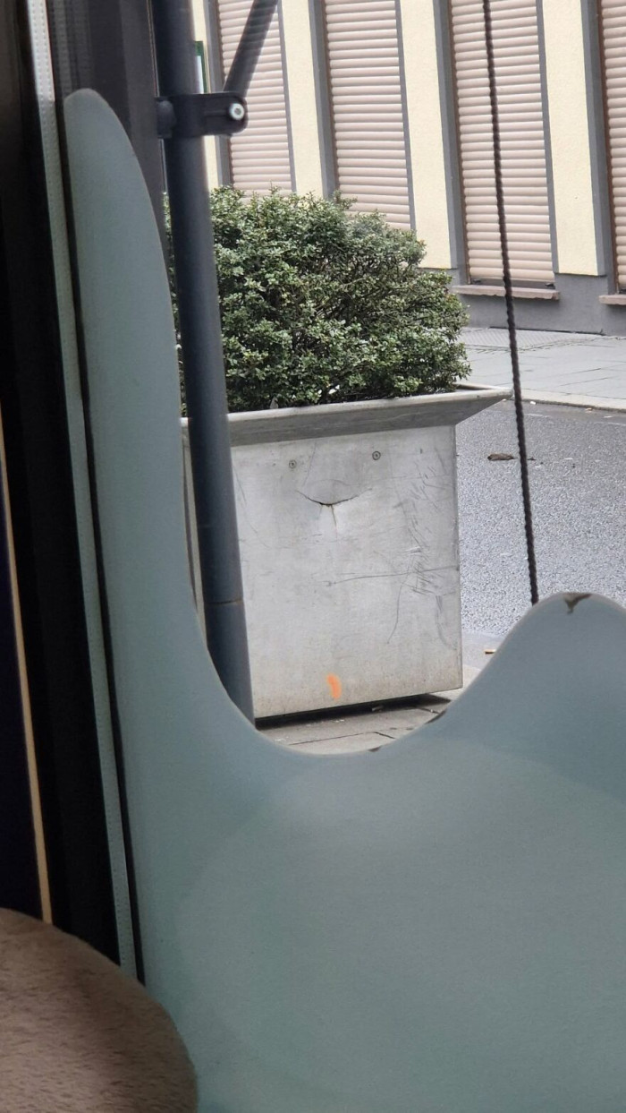 'If Your Hair Does Look Great, You've Got Every Reason To Smile🎉'