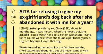 Redditor Asks What To Do About Ex Who Left Her Dog for a Year and Now Demands Him Back