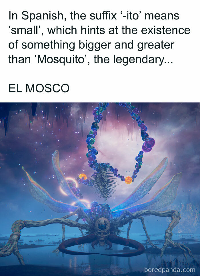 "El Musco Sucker For Life"