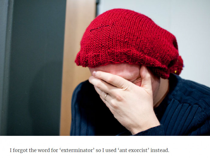 4. Exterminator versus ant exorcist