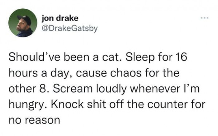 10. Having extra lives when unexpectedly hit by a bus or eating poisoned bread because of your greediness.