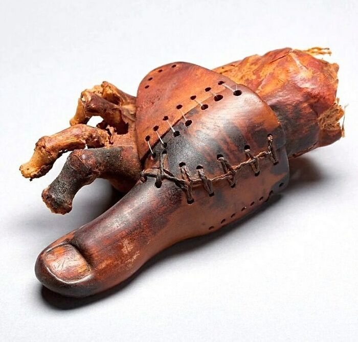 44. Researchers believe this is one of the earliest prosthetic devices.