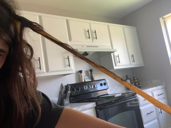 2. Walked through a fly strip this morning… spent an hour shampooing glue and fly guts out of my hair.