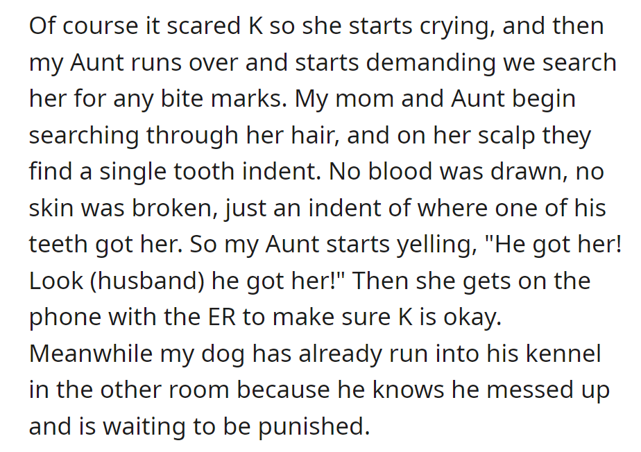 Dog nipped cousin K, causing her to cry. Aunt found tooth indent, called ER; dog retreated to kennel.