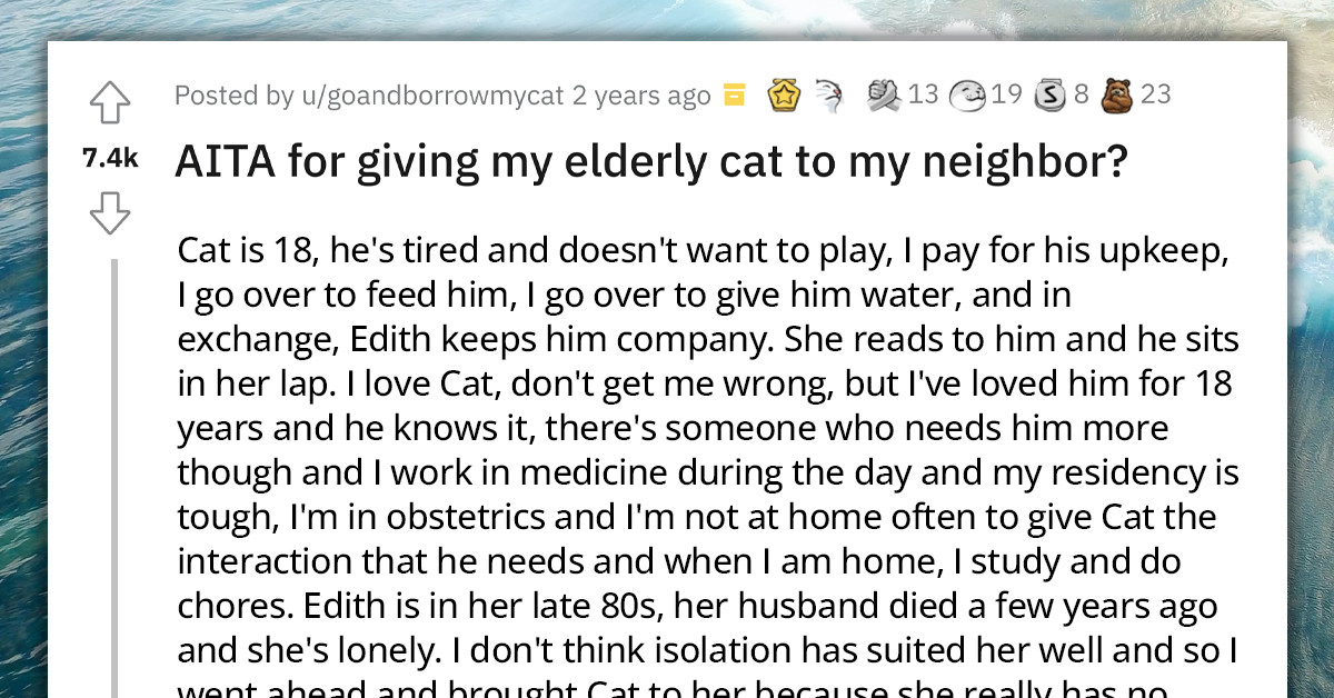 Redditor's Roommate Goes On A Rant Because They Gave Her Cat To An Elderly Neighbor