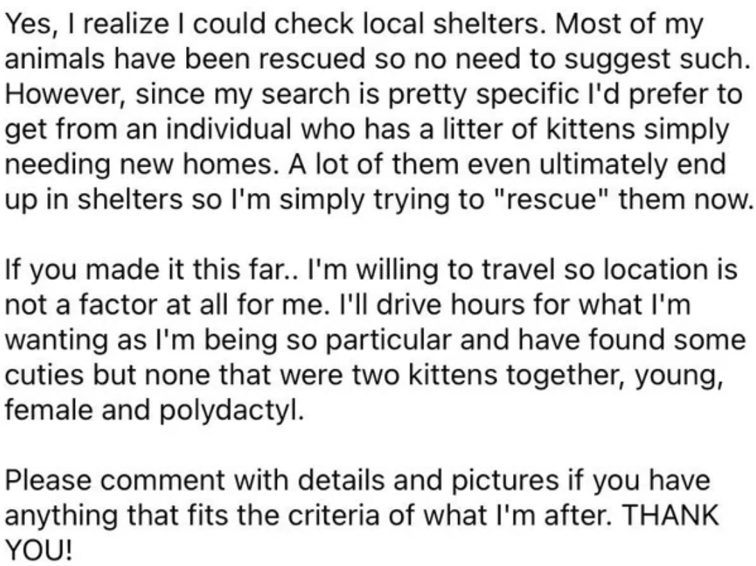 Rather than go to an animal shelter, she wants to get the kitties from an individual.