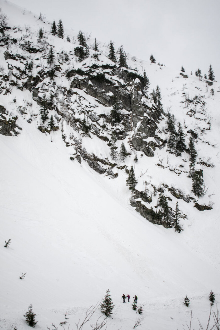 12. Would you like to join them for a walk?