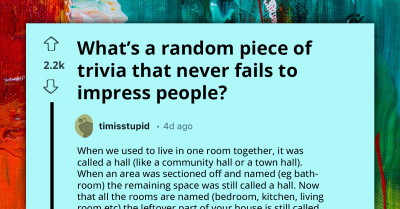 "Charles Darwin And Steve Irwin Both Owned The Same Tortoise" —Don't Miss The Best Of Reddit Trivia