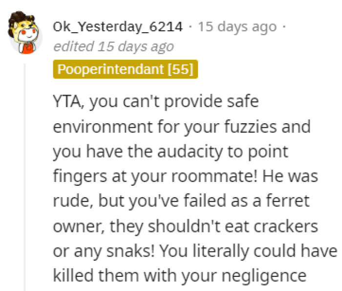 Failing as a Ferret Owner