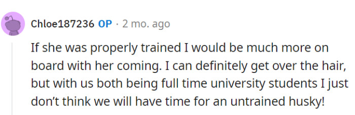 A well-behaved husky might be worth the fur tumble, but juggling full-time university and an untrained whirlwind is a degree in chaos they can't sign up for.