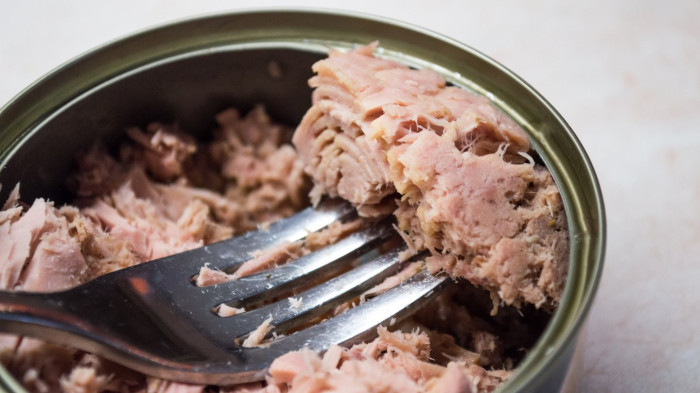 FDA and CDC food safety contact information on recall transparency page
